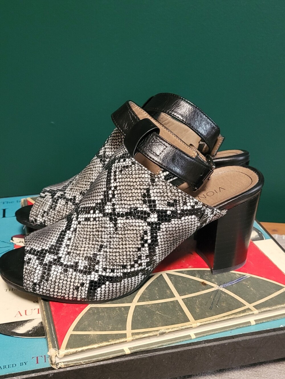Vionic Black & Snake-Print Block Heel Mules